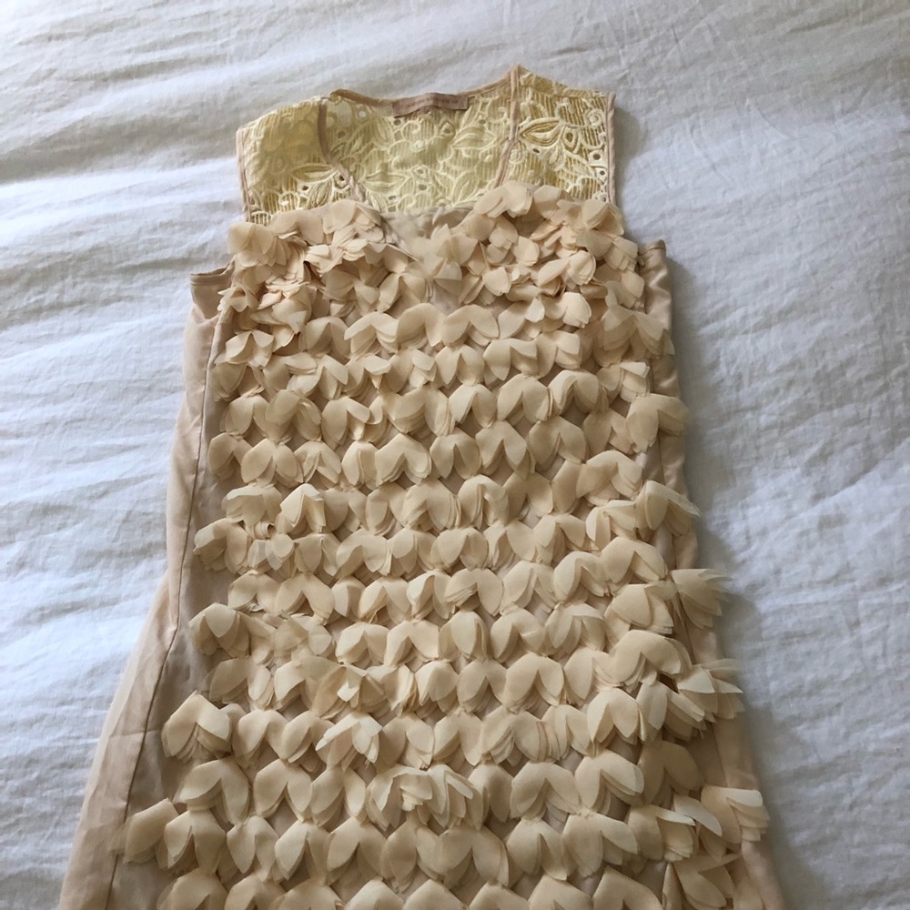 Anthropologie chiffon dress